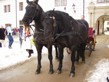 Pohádková Třeboň 2010