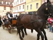 Pohádková Třeboň 2010