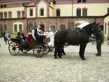 Pohádková Třeboň 2010