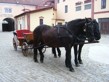Pohádková Třeboň 2010
