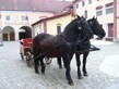 Pohádková Třeboň 2010