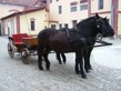 Pohádková Třeboň 2010