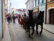 Pohádková Třeboň 2010
