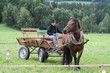 Smrhovská brázda 2010