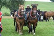 Smrhovská brázda 2010