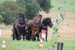 Smrhovská brázda 2010