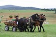 Smrhovská brázda 2010