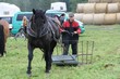 Smrhovská brázda 2010