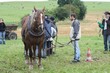 Smrhovská brázda 2010