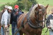 Smrhovská brázda 2010