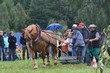Smrhovská brázda 2010