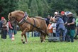 Smrhovská brázda 2010