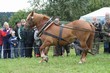 Smrhovská brázda 2010