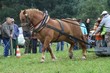 Smrhovská brázda 2010