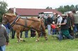 Smrhovská brázda 2010