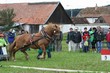 Smrhovská brázda 2010