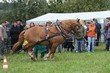 Smrhovská brázda 2010