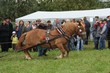 Smrhovská brázda 2010
