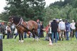 Smrhovská brázda 2010