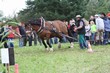 Smrhovská brázda 2010