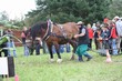 Smrhovská brázda 2010