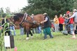 Smrhovská brázda 2010