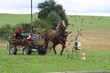 Smrhovská brázda 2010
