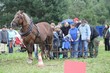 Smrhovská brázda 2010