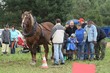 Smrhovská brázda 2010