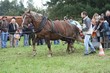 Smrhovská brázda 2010
