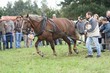 Smrhovská brázda 2010