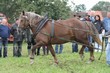 Smrhovská brázda 2010