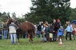 Smrhovská brázda 2010