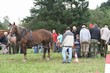 Smrhovská brázda 2010