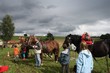 Smrhovská brázda 2010
