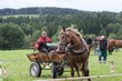 Smrhovská brázda 2010
