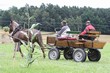 Smrhovská brázda 2010