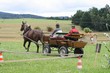 Smrhovská brázda 2010