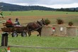 Smrhovská brázda 2010
