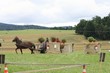 Smrhovská brázda 2010