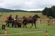 Smrhovská brázda 2010