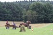 Smrhovská brázda 2010