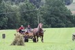 Smrhovská brázda 2010