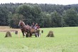Smrhovská brázda 2010