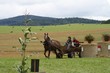 Smrhovská brázda 2010