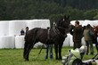 Smrhovská brázda 2010
