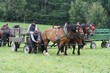 Smrhovská brázda 2010
