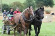 Smrhovská brázda 2010