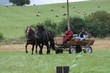 Smrhovská brázda 2010