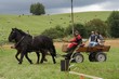 Smrhovská brázda 2010